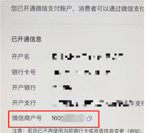 抖音怎么样恢复微信付款功能